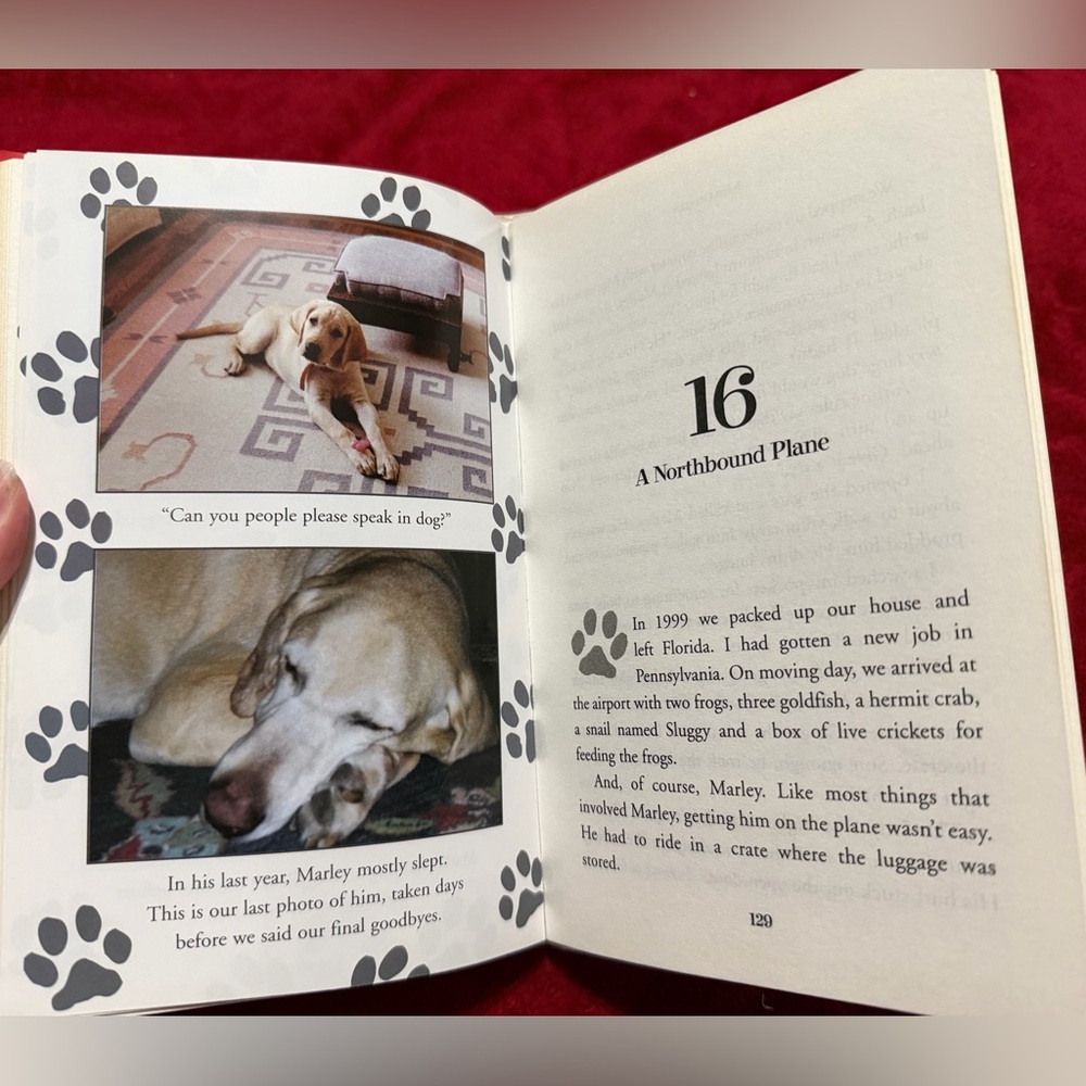 HARDBACK MARLEY AND ME BOOK NO CREASES FLAWS OR WRITING PERFECT WITH PICTURES! 🐕 - Picture 13 of 13